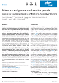 Cover page: Enhancers and genome conformation provide complex transcriptional control of a herpesviral gene