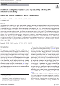 Cover page of DUBR non-coding RNA regulates gene expression by affecting AP-1 enhancer accessibility
